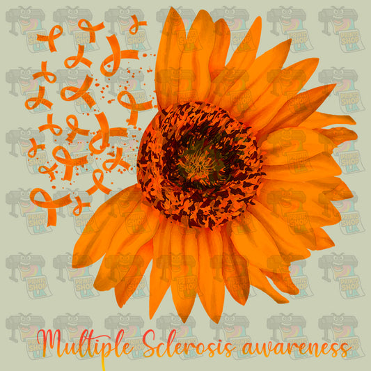 Multiple Sclerosis Awareness 116