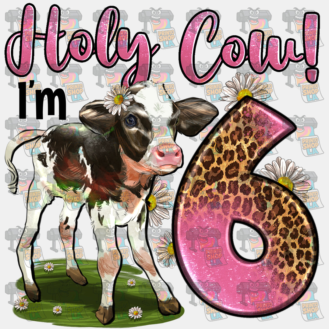 Holy Cow i'm 6