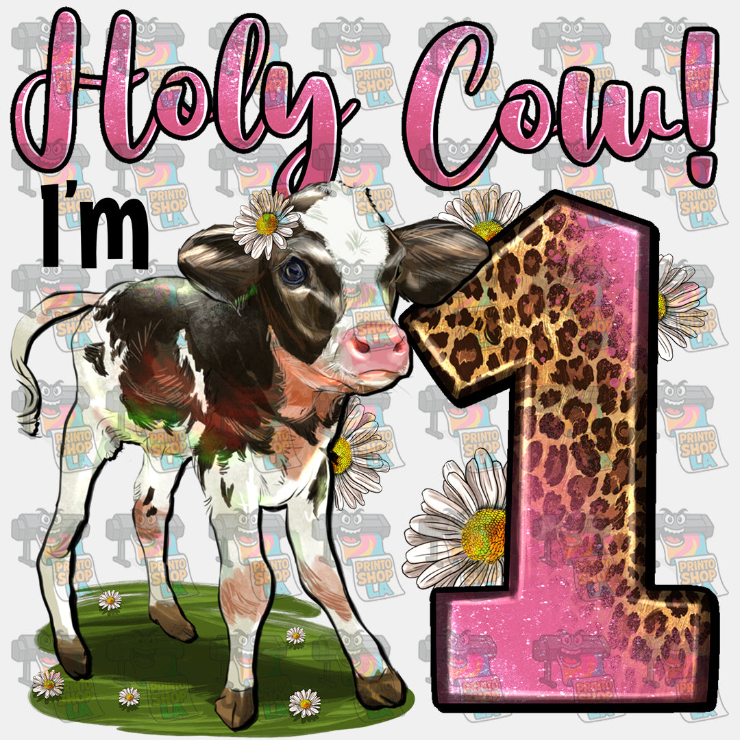 Holy Cow i'm 1