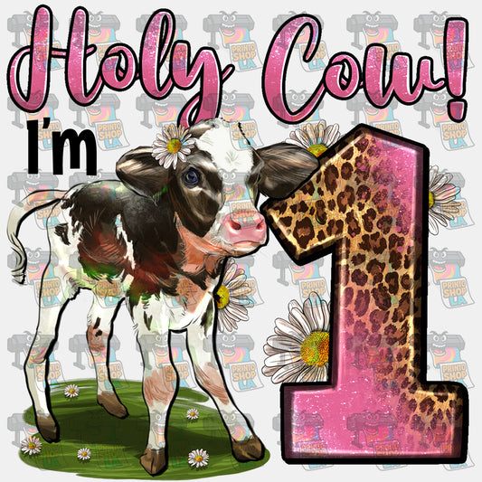 Holy Cow i'm 1
