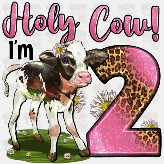 Holy Cow i'm 2
