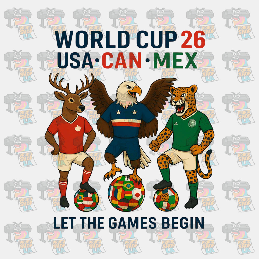 Worldcup 13